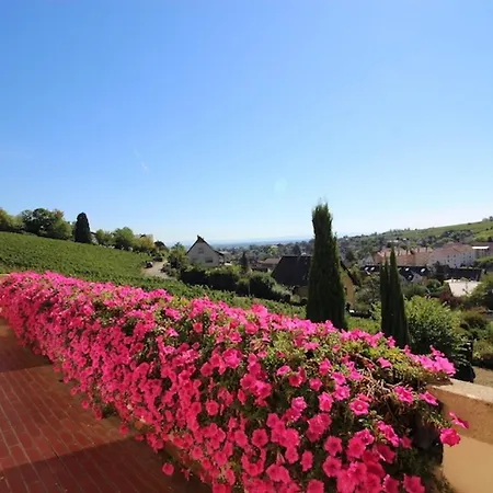 Escapade Au Bube - Vue Exceptionnelle - Nouveau